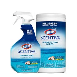 Clorox Spray and Wipes Bundle
