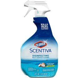 Clorox Cleaner