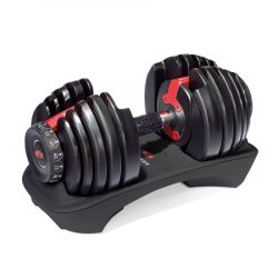 Bowflex SelectTech 552 Dumbbell (single)